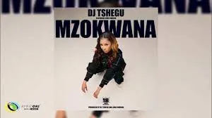 Dj Tshegu Ft. Sims Noreng – Mzokwana