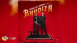 DJHarvey and Lusha – Bhudiza [Feat. TA MusiQ, Citykingrsa, JFS Music, Blvcknavy and Deeray]