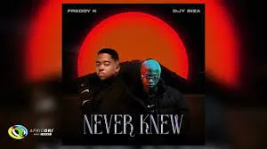 Freddy K & Djy Biza – Never Knew
