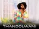 Lwami Feat. Casswell P – ThandoLwami