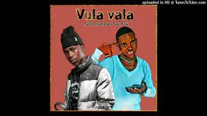 Bongza Bee Feat. DrummeRTee924 – Vula Vala
