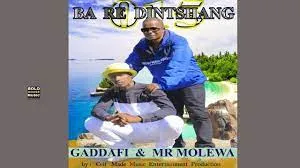 Gaddafi and Mr Molewa – Ba Re Dintshang