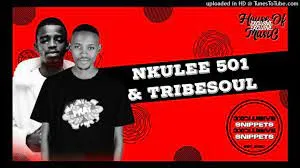 Nkulee 501 & TribeSoul – Untitled