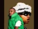 Xduppy – Ziwa Ngale (Remix) feat. Kabza De Small, Dladla Mshunqisi, Felo Le Tee & Dj Tira