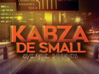 Kabza De Small – Avenue Sounds (Edited)
