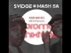 Deejay Svidge & Mash SA – 100% Production Promo Mixtape