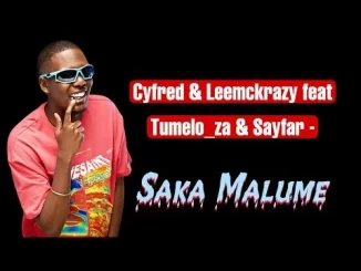 Cyfred & LeeMcKrazy – Sakaa Malume feat. Sayfar
