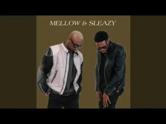Mellow & Sleazy & TNK MusiQ – Imali ft. Scotts Maphuma